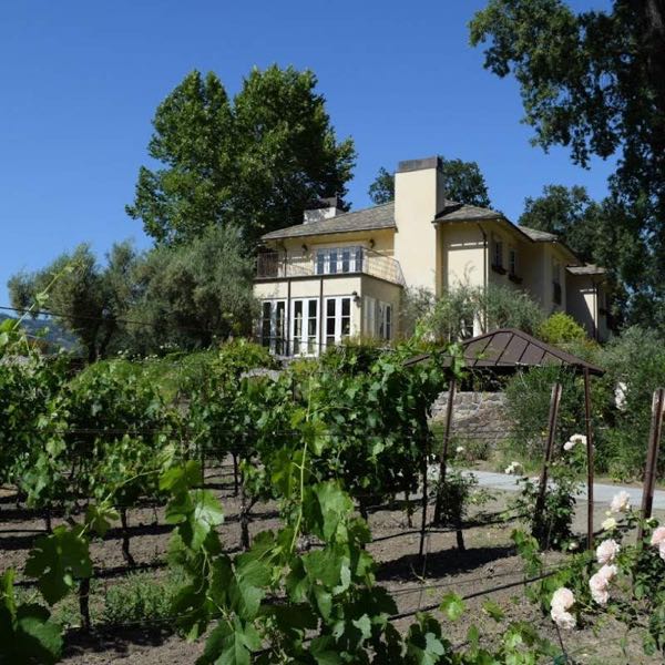 Allora Vineyards