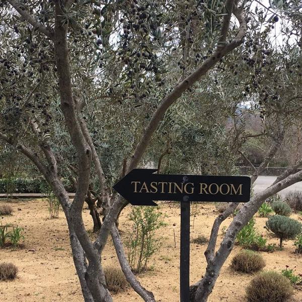Allora Vineyards