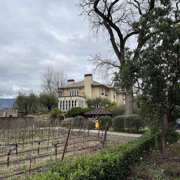 Allora Vineyards