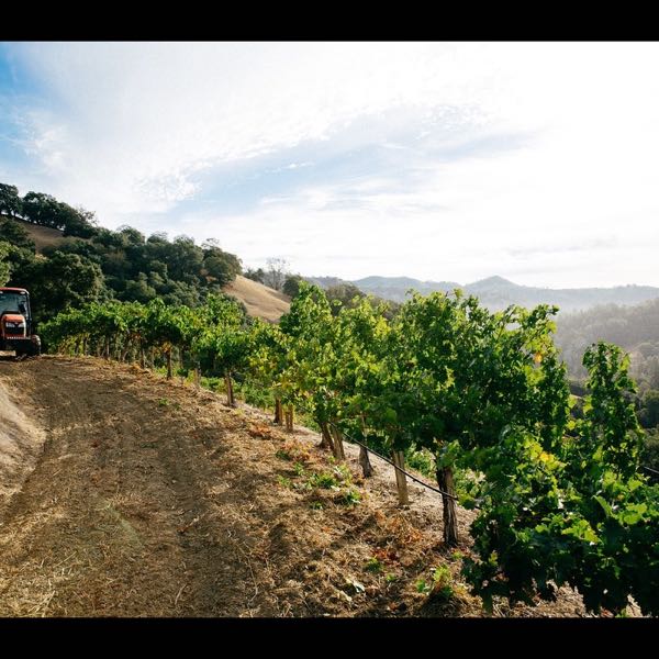 Amizetta Winery