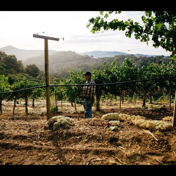 Amizetta Winery