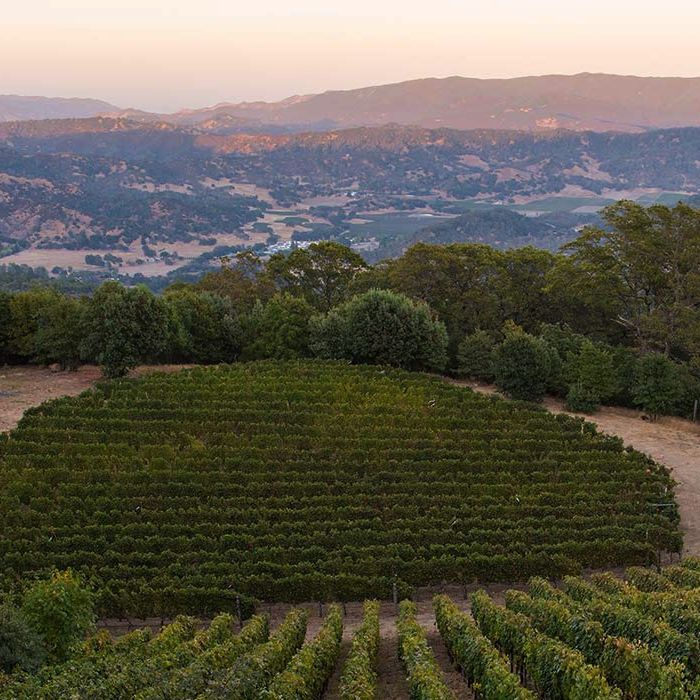 Amuse Bouche Winery