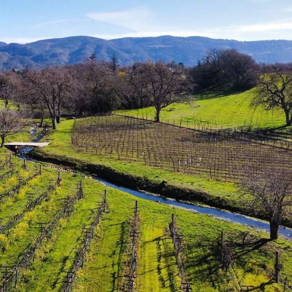 Arrow & Branch Winery