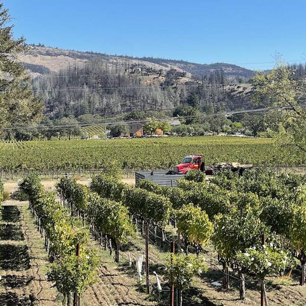 AXR Winery