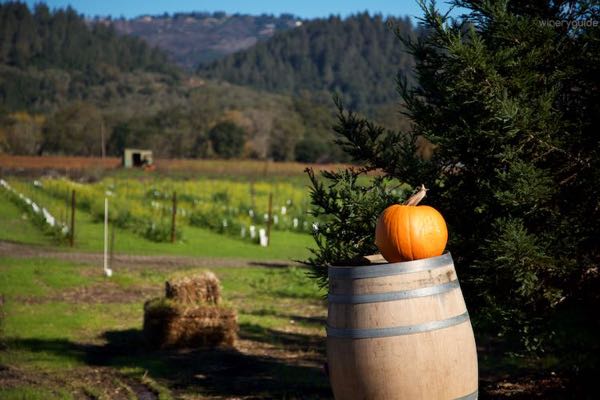 Ballentine Vineyards