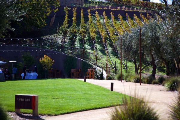 B Cellars