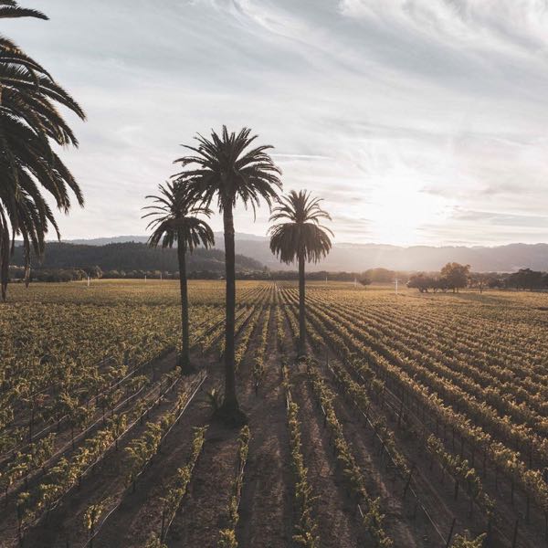 Beaulieu Vineyard