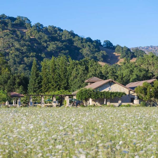 Bell Wine Cellars