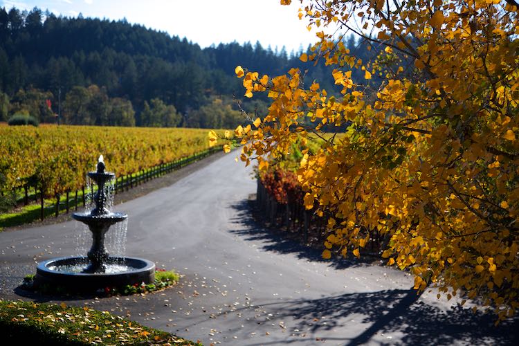 Bennett Lane, Calistoga, Napa Valley