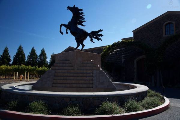 Black Stallion Estate Winery