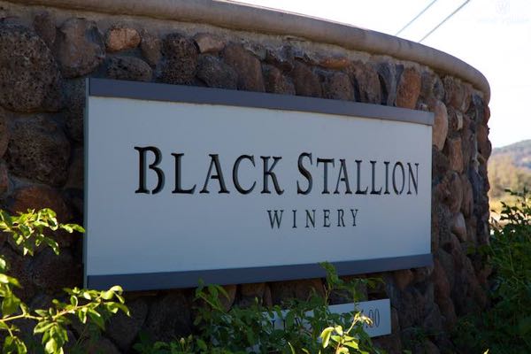 Black Stallion Estate Winery