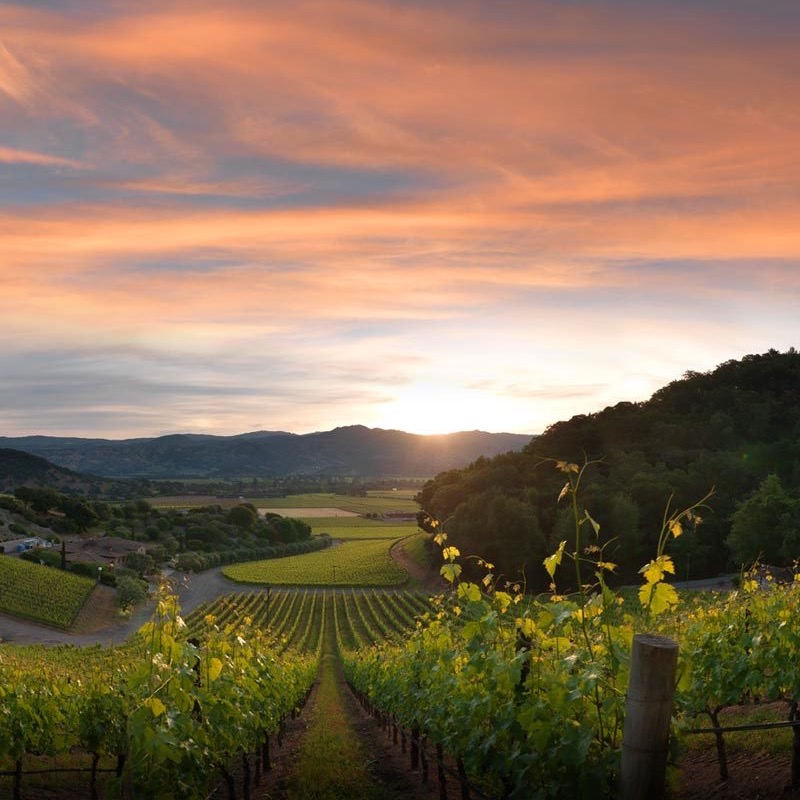Blankiet Estate, Yountville, Napa Valley