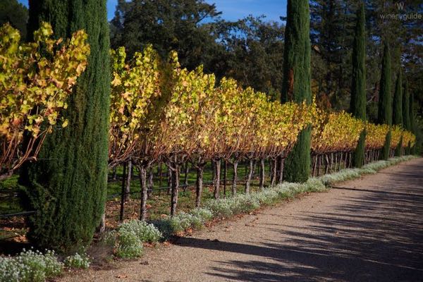 Boeschen Vineyards