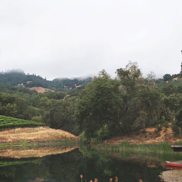 Buehler Vineyards