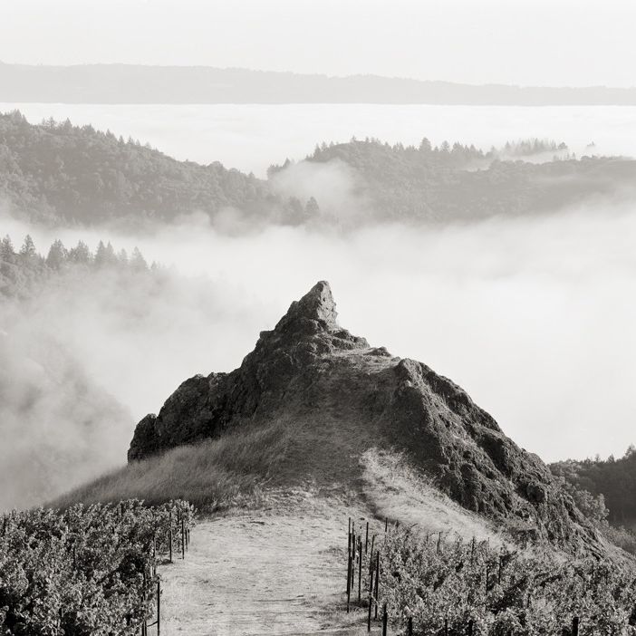 Cain Vineyard & Winery, Spring Mountain District, Napa Valley