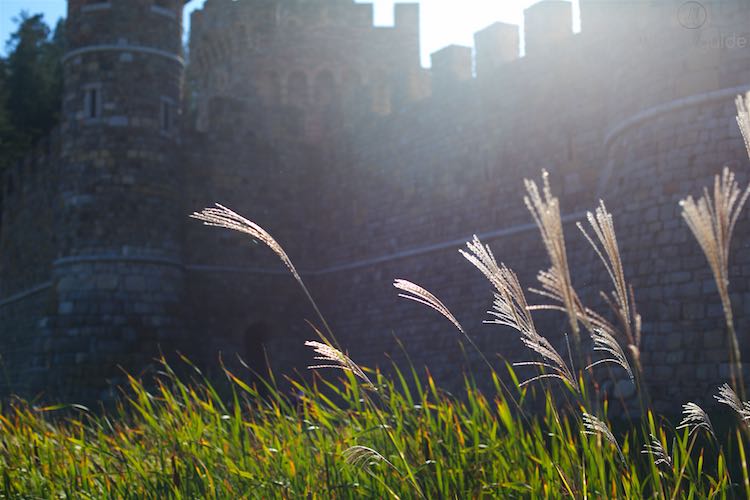 Castello di Amorosa, Calistoga, Napa Valley