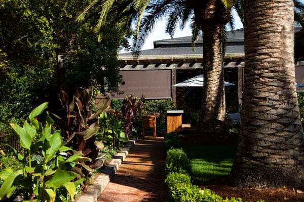 Caymus Vineyards
