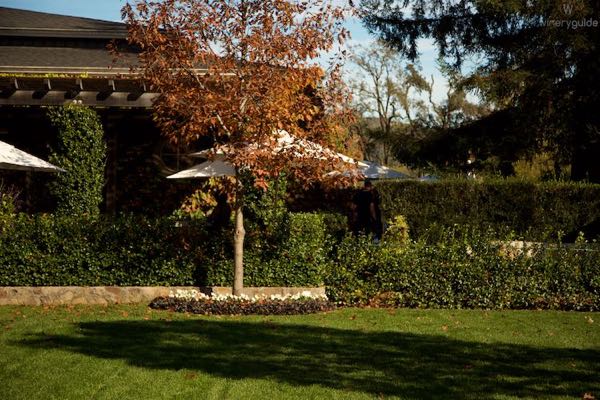 Caymus Vineyards