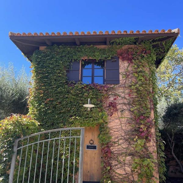 Celani Family Vineyards