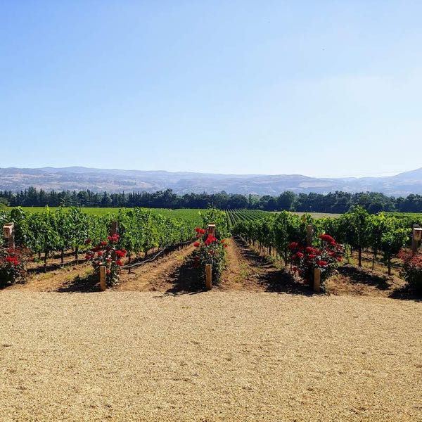 Celani Family Vineyards