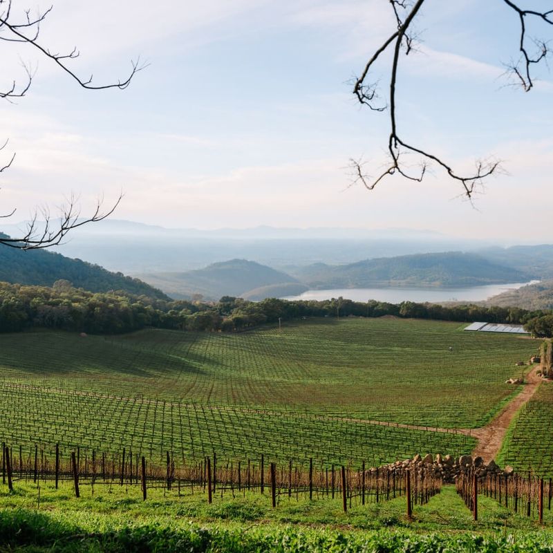 Chappellet Vineyard, Spring Mountain District, Napa Valley
