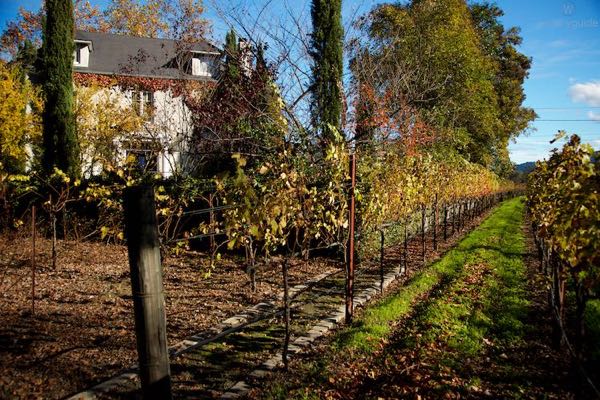 Chateau De Vie