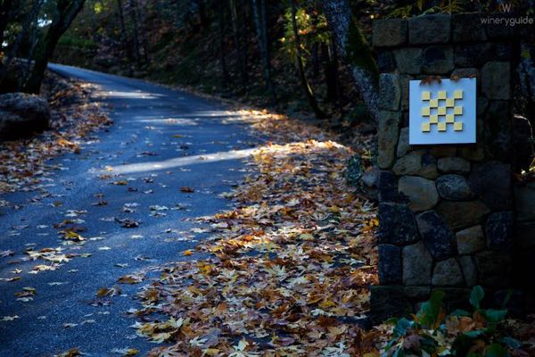 Checkerboard Vineyards