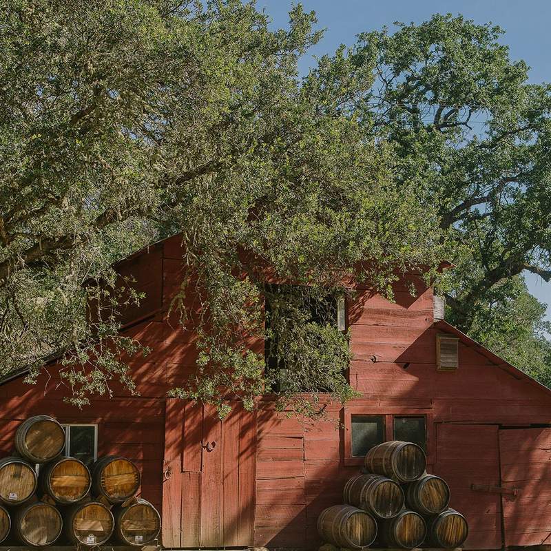 Clark-Claudon Vineyards, Napa Valley, Napa Valley