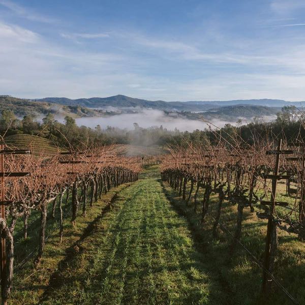Clark-Claudon Vineyards