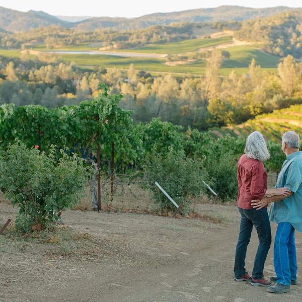 Clark-Claudon Vineyards