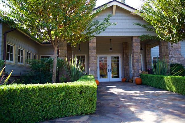 Cliff Lede Vineyards