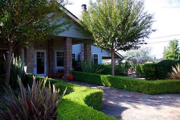Cliff Lede Vineyards