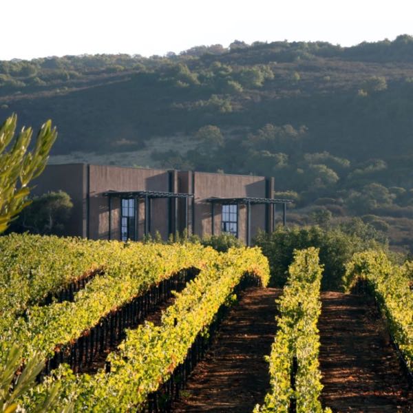 Continuum Estate