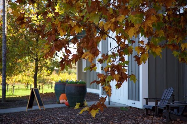Corison Winery