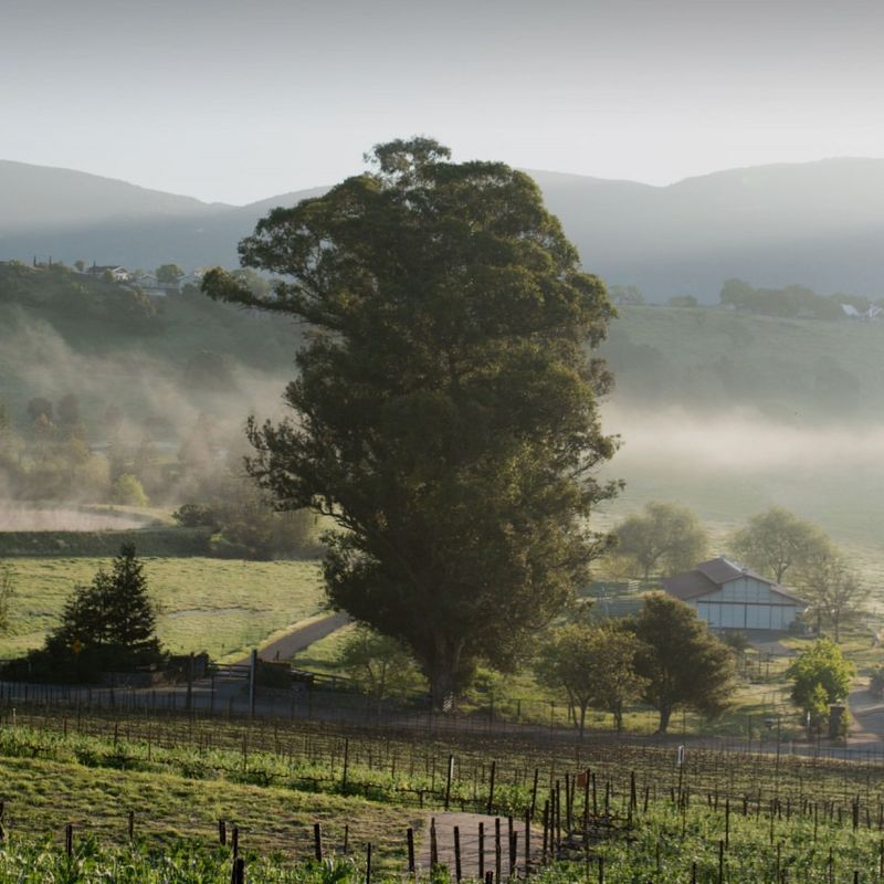 Covert Estate, Napa Valley, Napa Valley