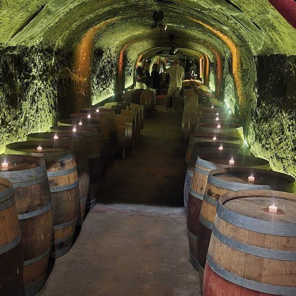 Del Dotto Historic Winery & Caves