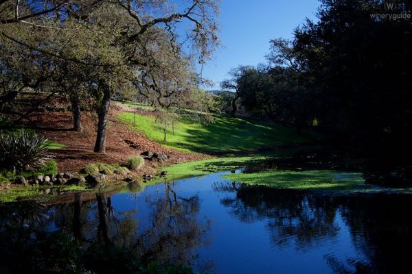 Domaine Chandon