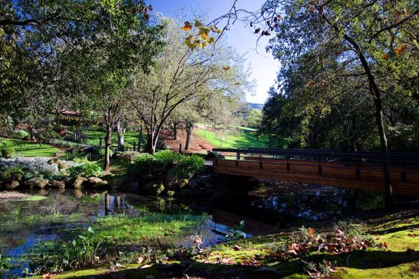 Domaine Chandon