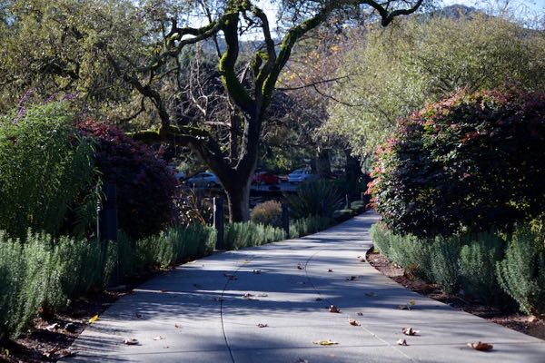 Domaine Chandon