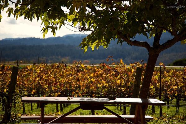 Dutch Henry Winery