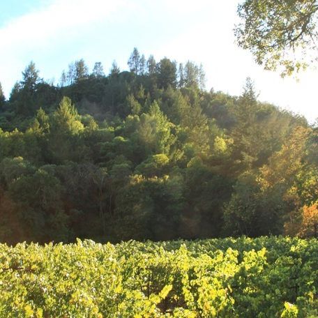 Dyer Vineyard