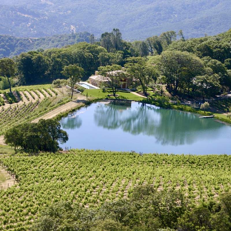 Elan Vineyards, Atlas Peak, Napa Valley