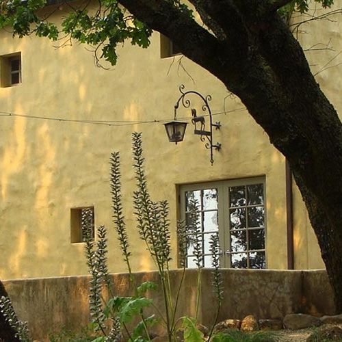 Farella Vineyard
