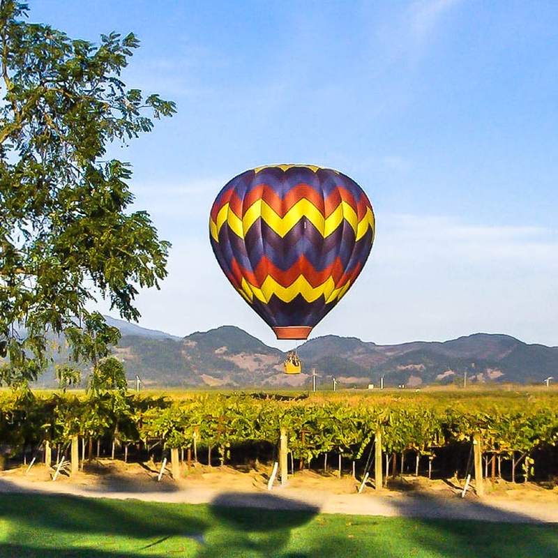 Fortunati Vineyards, Napa Valley, Napa Valley