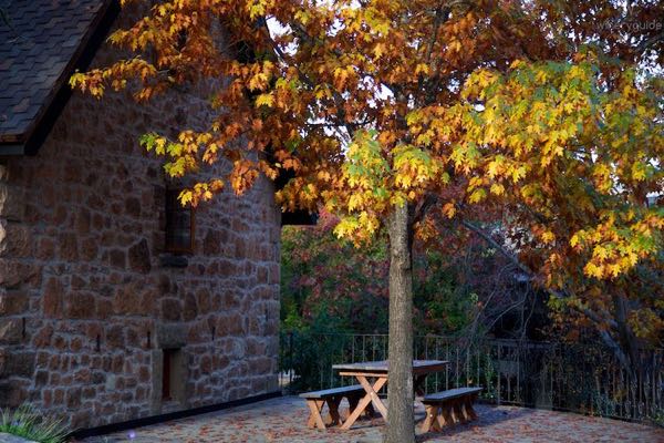 Freemark Abbey