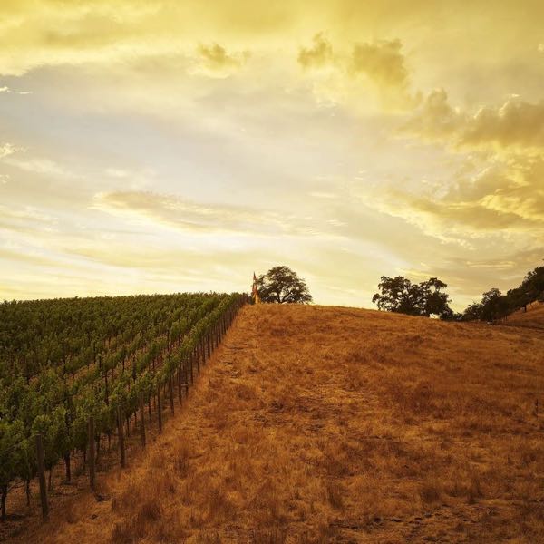 Gamble Family Vineyards