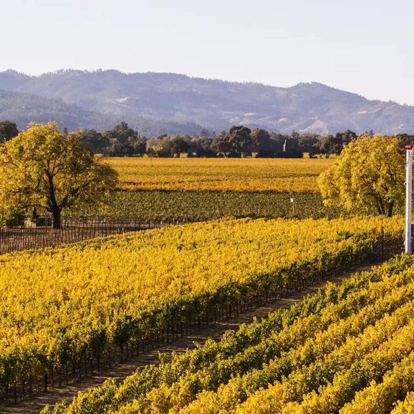 Gamble Family Vineyards