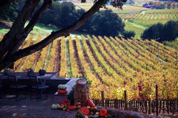 Gargiulo Vineyards