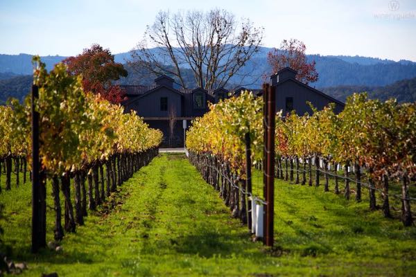 Goosecross Cellars