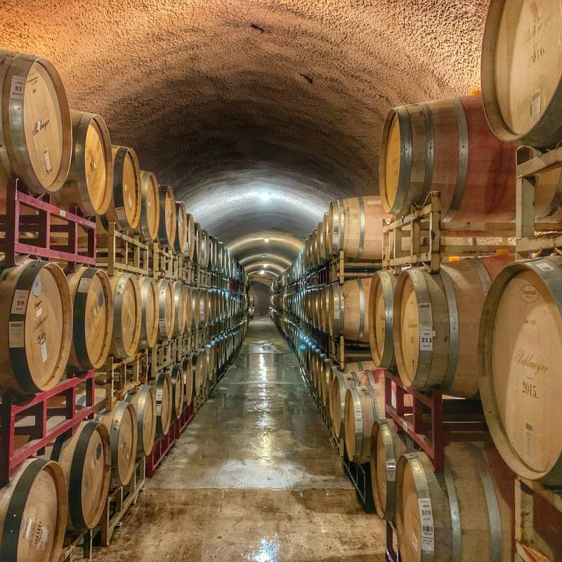 Harrison Vineyards, Rutherford, Napa Valley